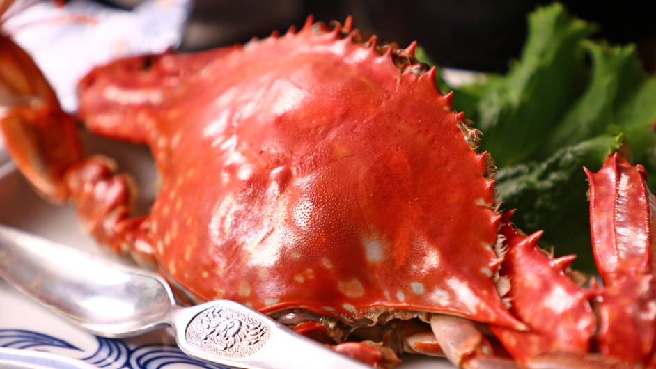 【日帰り◇昼食】地魚たっぷり伊勢湾食べつくしプラン♪