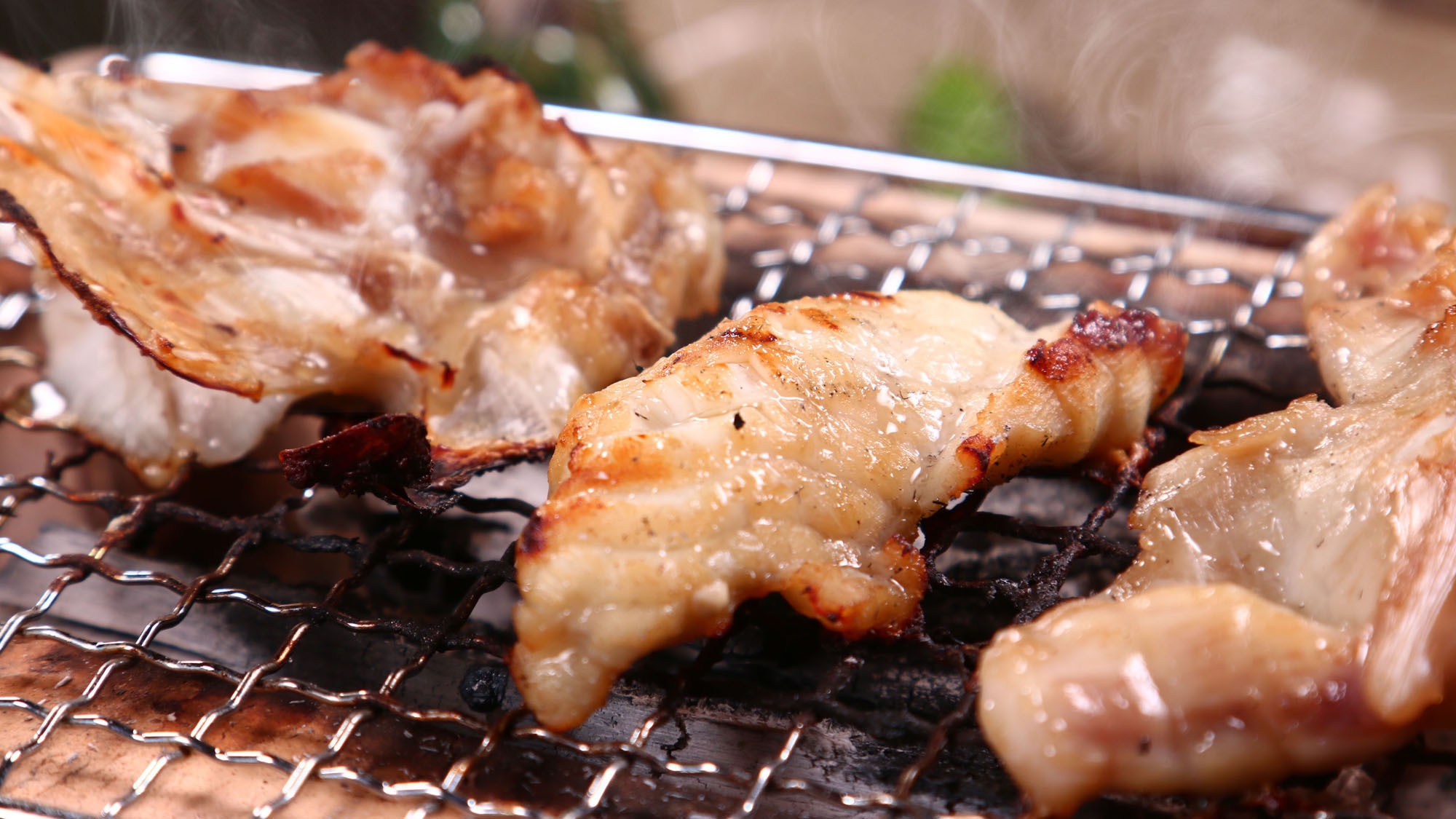 【年末年始】ふぐ＆メインチョイス◆ 伊勢海老orふぐ魚醤焼orふぐ白子☆