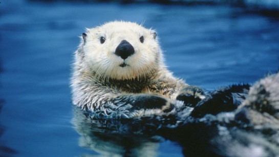 【お部屋のみの利用】シンプルステイプラン（素泊まり）