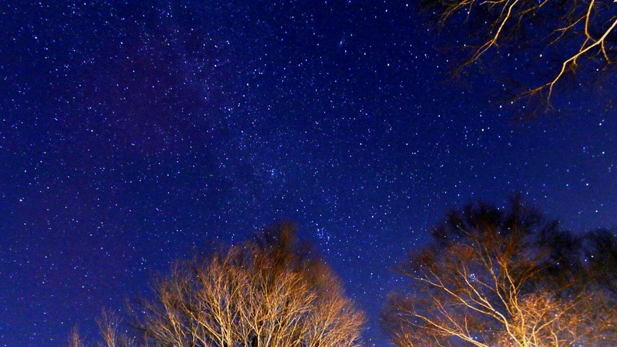 一歩外に出れば綺麗な星空がお出迎え☆星空観賞は冬がベスト☆彡