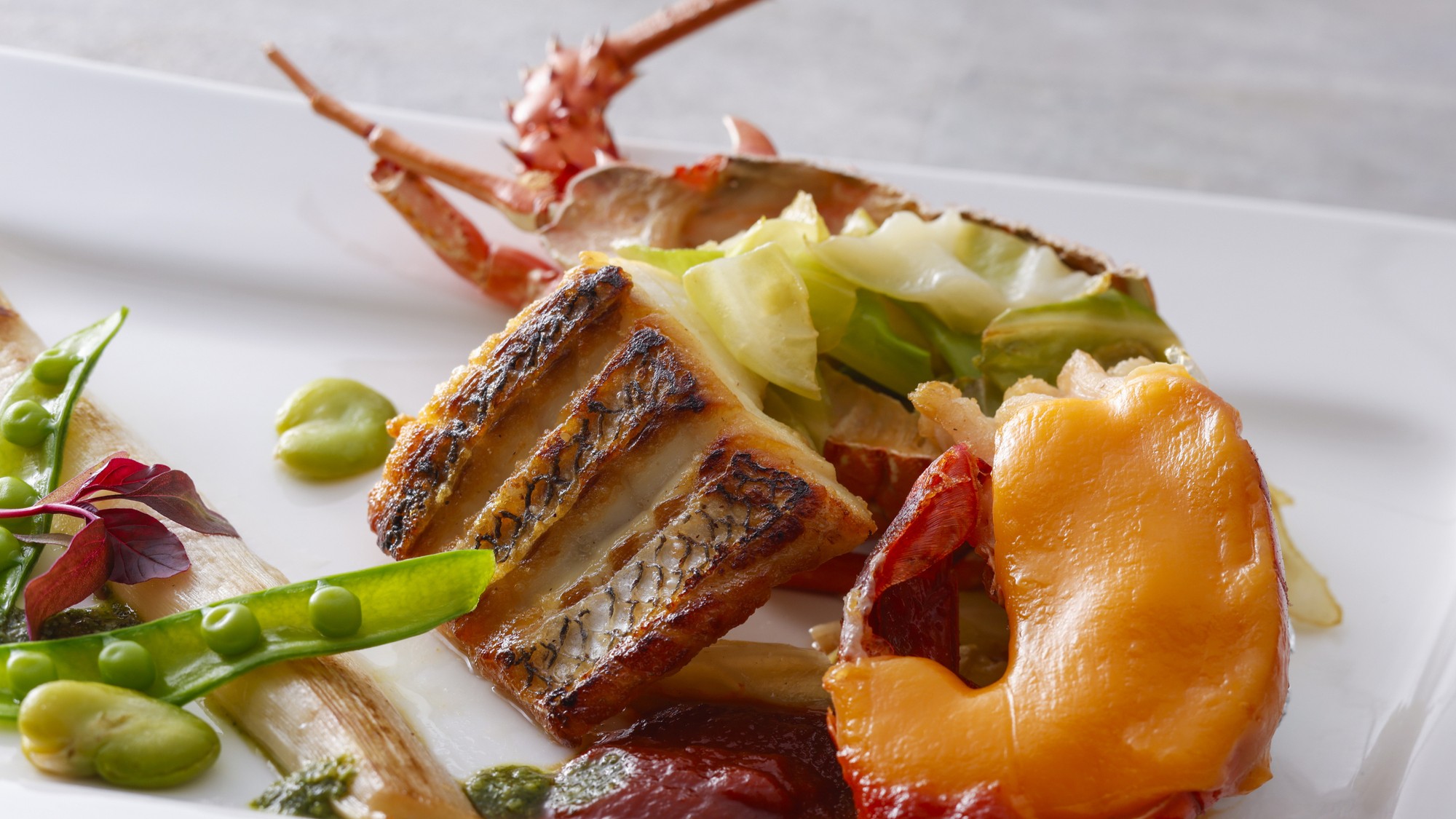 最上級フレンチ「Plaisir（プレジール）」（一例）