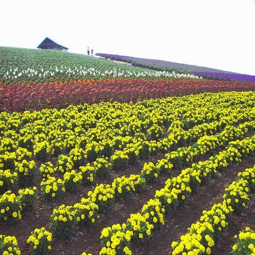 コートホテル旭川 - 写真 144