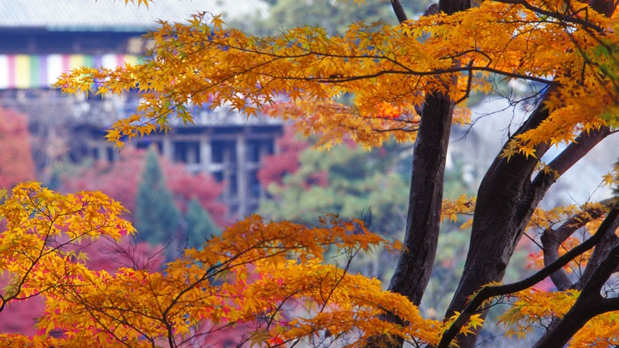 *【奈良・長谷寺の本道】紅葉は10月中旬～12月上旬までとなり、11月はもみじ茶会も！