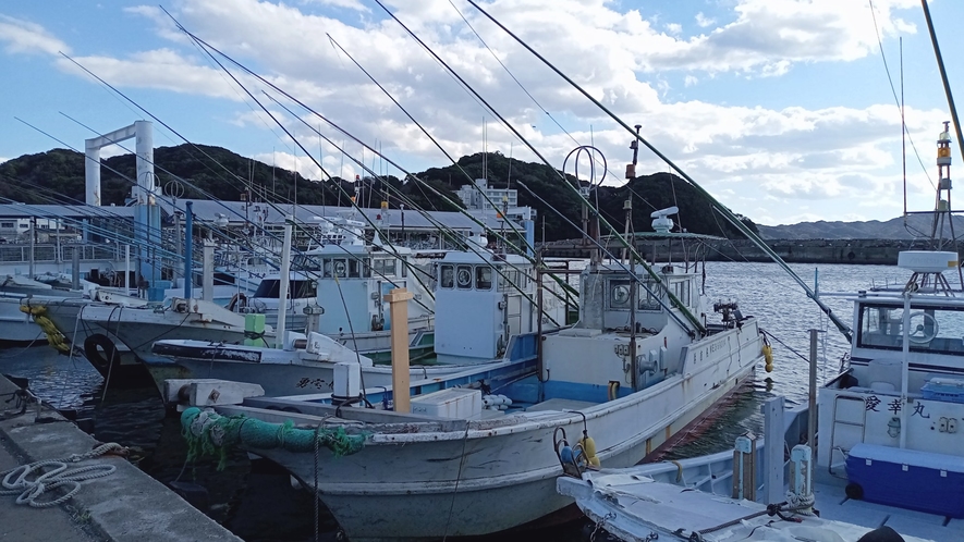 *新鮮な魚介類がたくさん浜揚げされる漁港