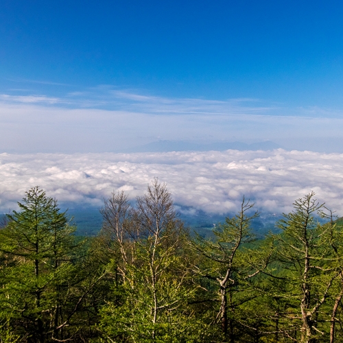 【体験】【2食付き】標高2000ｍで感動的な体験を♪　「高峰高原　宙（そら）さんぽ」プラン