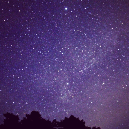 空を見上げると幻想的な星空