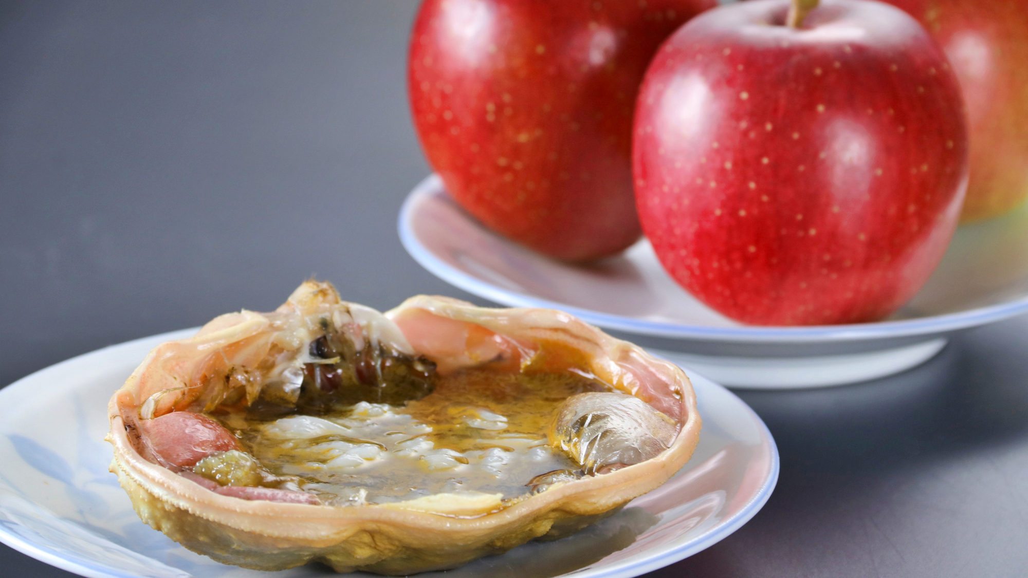 【料理】カニコース