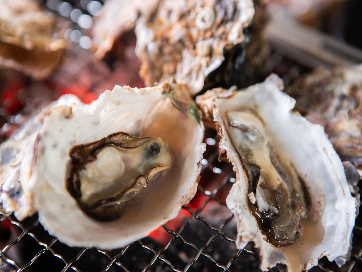  【平日限定】自家養殖牡蠣だから新鮮カキをたらふく♪カニ鍋と牡蠣づくしに舟盛も付けちゃいます！