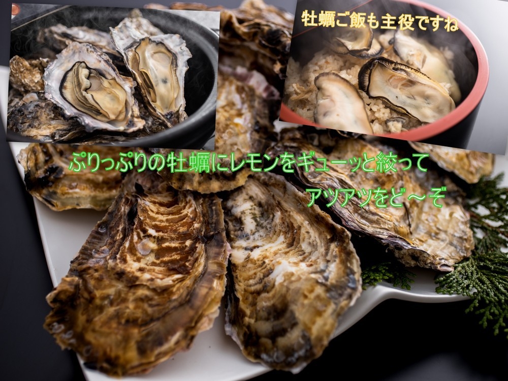  【平日限定】自家養殖牡蠣だから新鮮カキをたらふく♪カニ鍋と牡蠣づくしに舟盛も付けちゃいます！