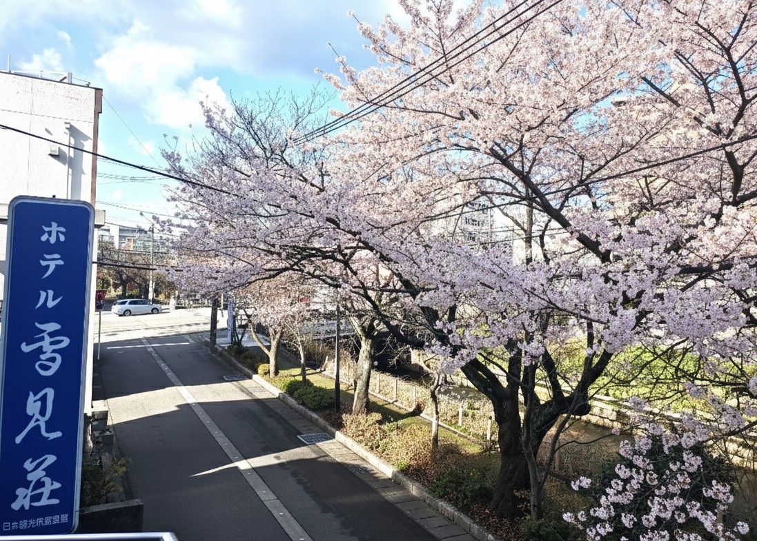 ２階から観た桜