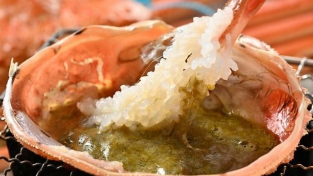 【日本海産タグ付き２杯使用】１日10食まで〜「日本海で水揚げ〜タグ付きずわい蟹会席プレミアム」