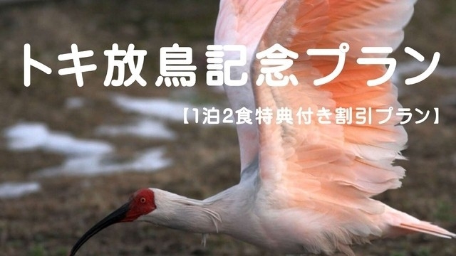 1泊2食【特典付きプラン：トキ放鳥記念宿泊プラン第2弾】夕食「能登の里海会席　秋」朝食「ビュッフェ」