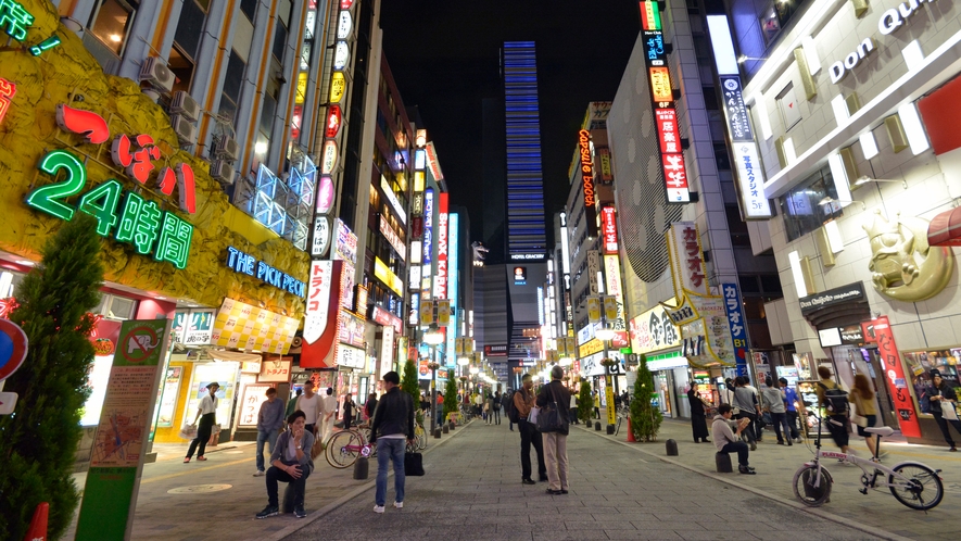 新宿の中心部に位置する閑静な佇まいのホテルです。