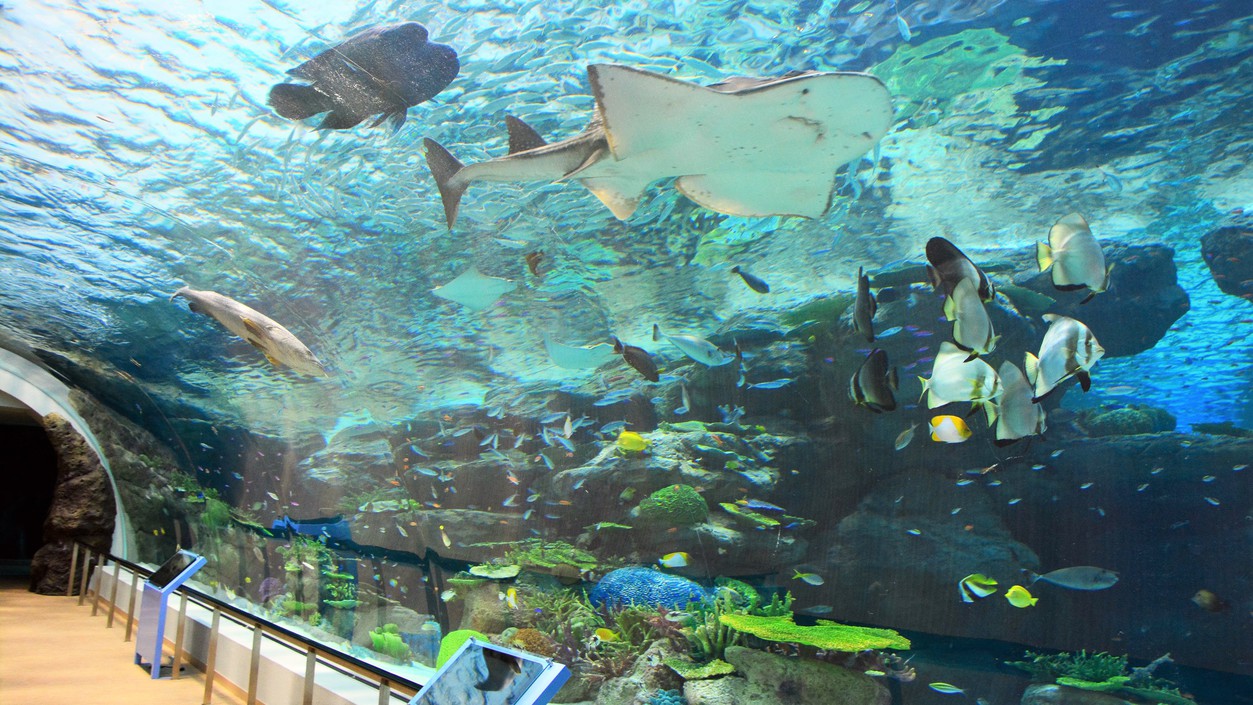 【朝食付】名古屋港水族館特別優待割引券付きプラン