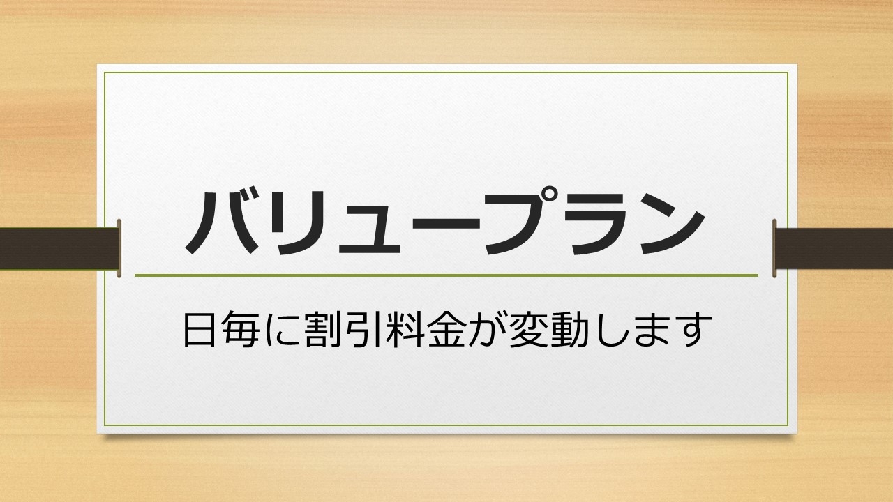 バリュープラン　リモートワークや一人旅におすすめ！