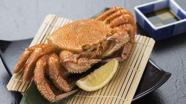 【2・3月限定＆月1日10食限定】三陸産毛ガニ１杯付きシーサイドビュッフェプラン