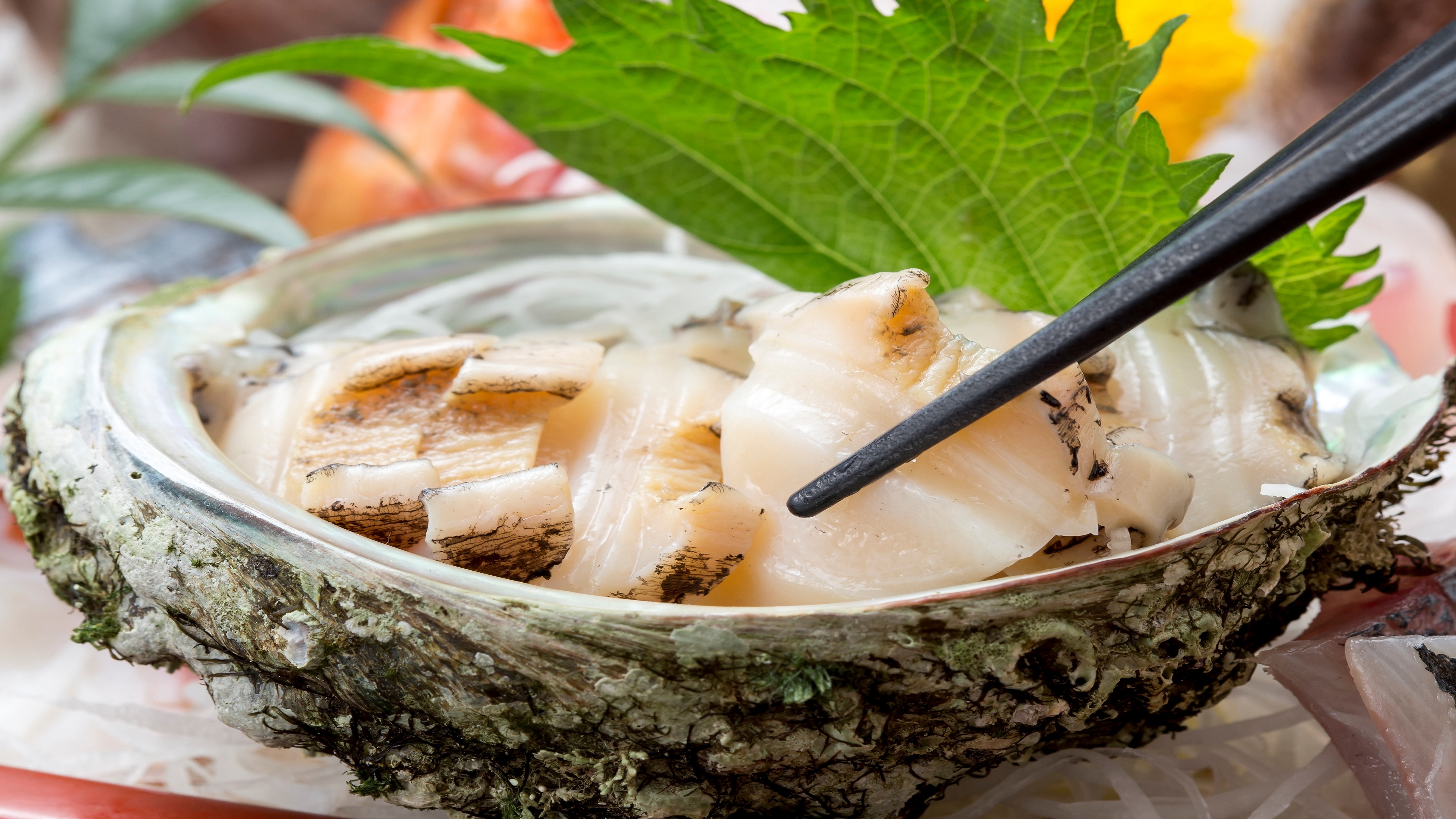 【逸品料理】蝦夷あわびのお刺身