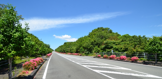 【素泊まりプラン】のんびり志摩の自由旅！御座白浜まで徒歩0分