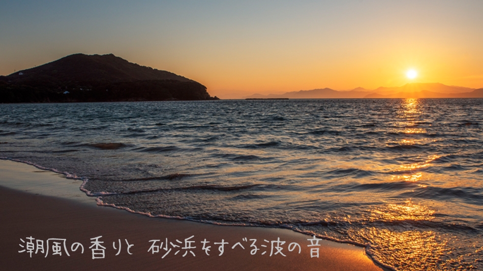 【基本コース】伊勢海老と旬の味覚を堪能！伊勢海老はお好きな調理方法でどうぞ♪夕食は＜個室食＞