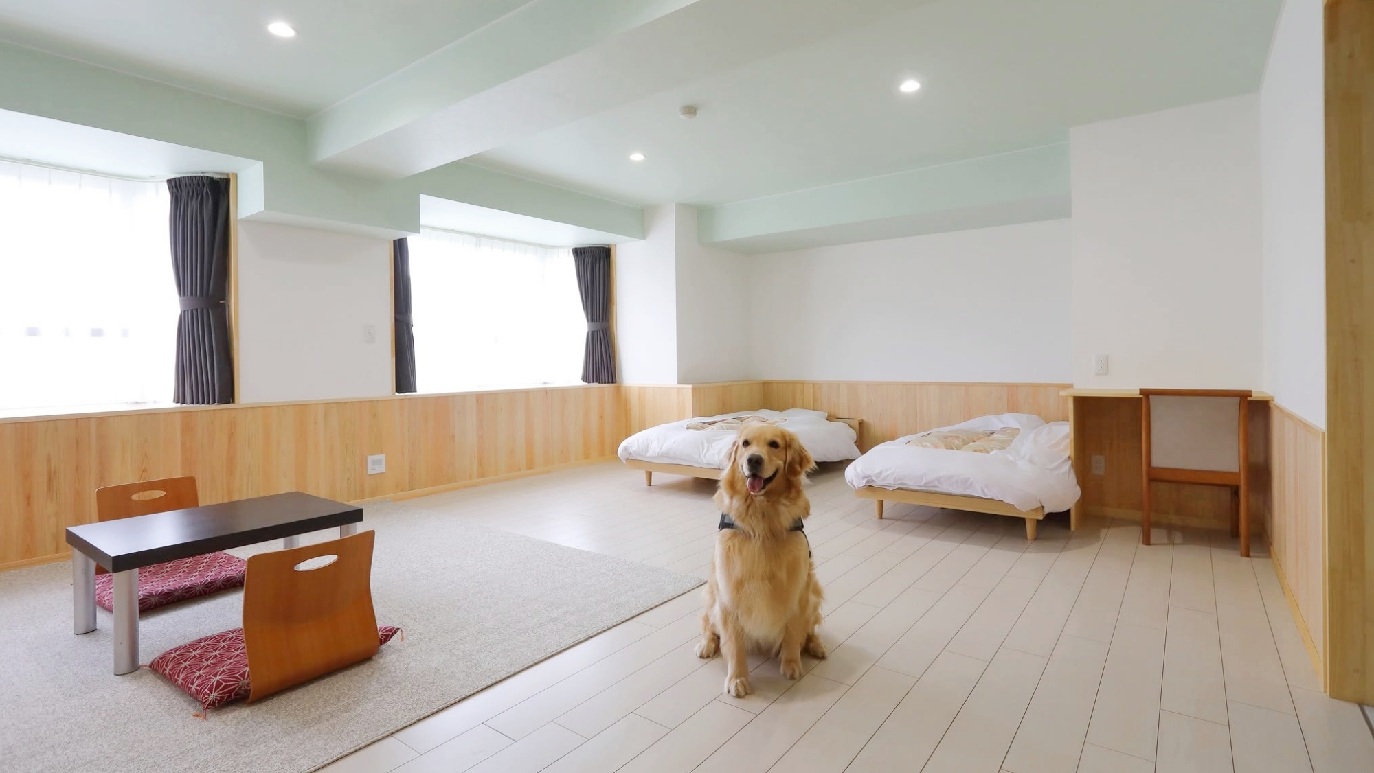 【ペット無料｜朝食付】平日限定！超大型犬OK＆フード特典付♪＜ペット専用ミニキッチン付客室＞