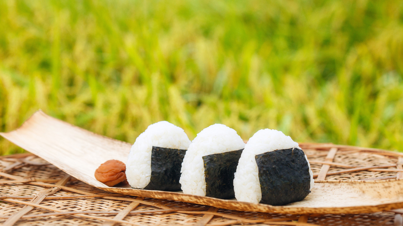【トレッキングプラン】朝食はお弁当をご用意＆早朝出発もOK！荷物預かりなど嬉しい特典も（2食付）