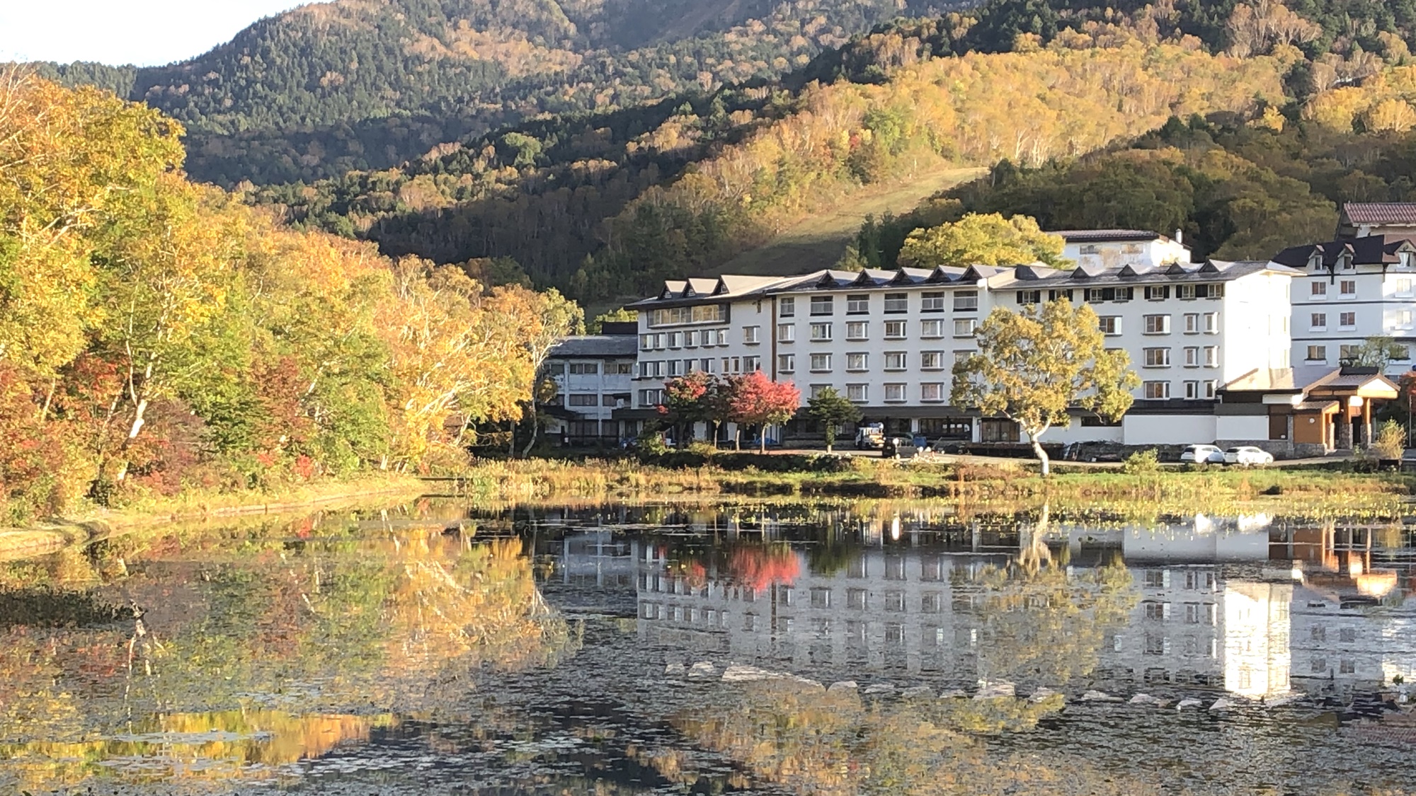 *紅葉の蓮池/山の駅からのぞむ錦秋に輝く蓮池。写真家にも人気の撮影スポットで夕暮れはとくにオススメ！