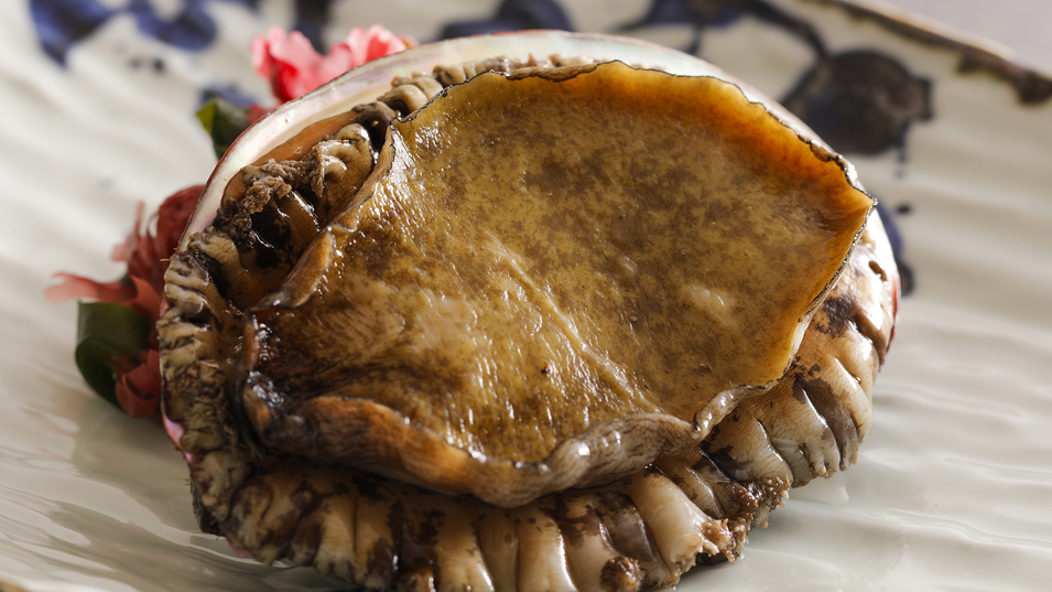 鉄板焼やまなみオープン〜鉄板焼きで味わう極上の飛騨牛＆新鮮魚介〜奥穂高岳プラン〜