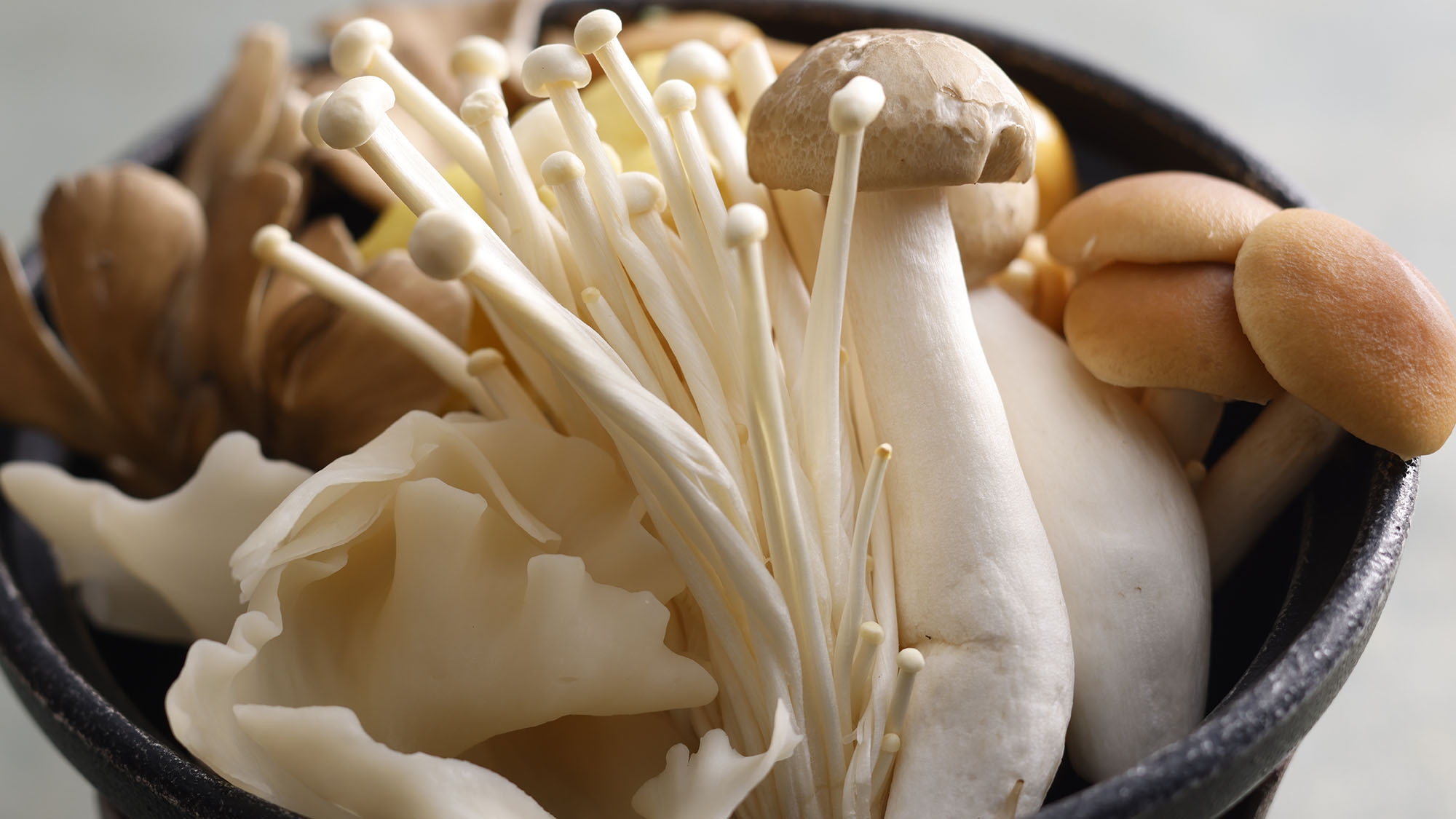 【秋冬SALE】■和食・基本■〜日本料理「緑亭」で味わう飛騨の滋味〜“飛騨の味覚会席”リラぎふ