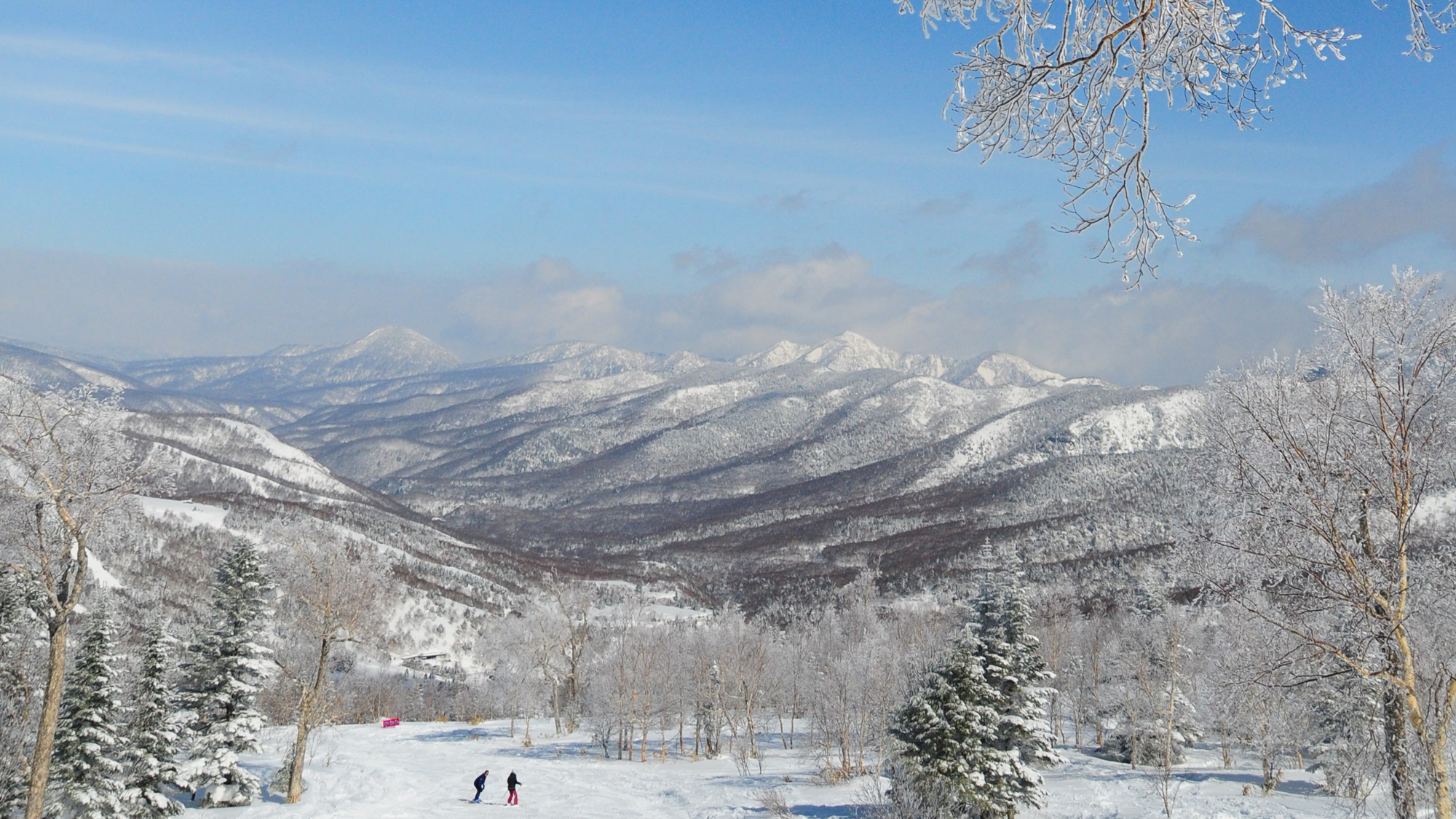 *【志賀高原スキー場】国内最大級の広いゲレンデ。樹氷や霧氷の雪景色と滑走できるロケーションも人気