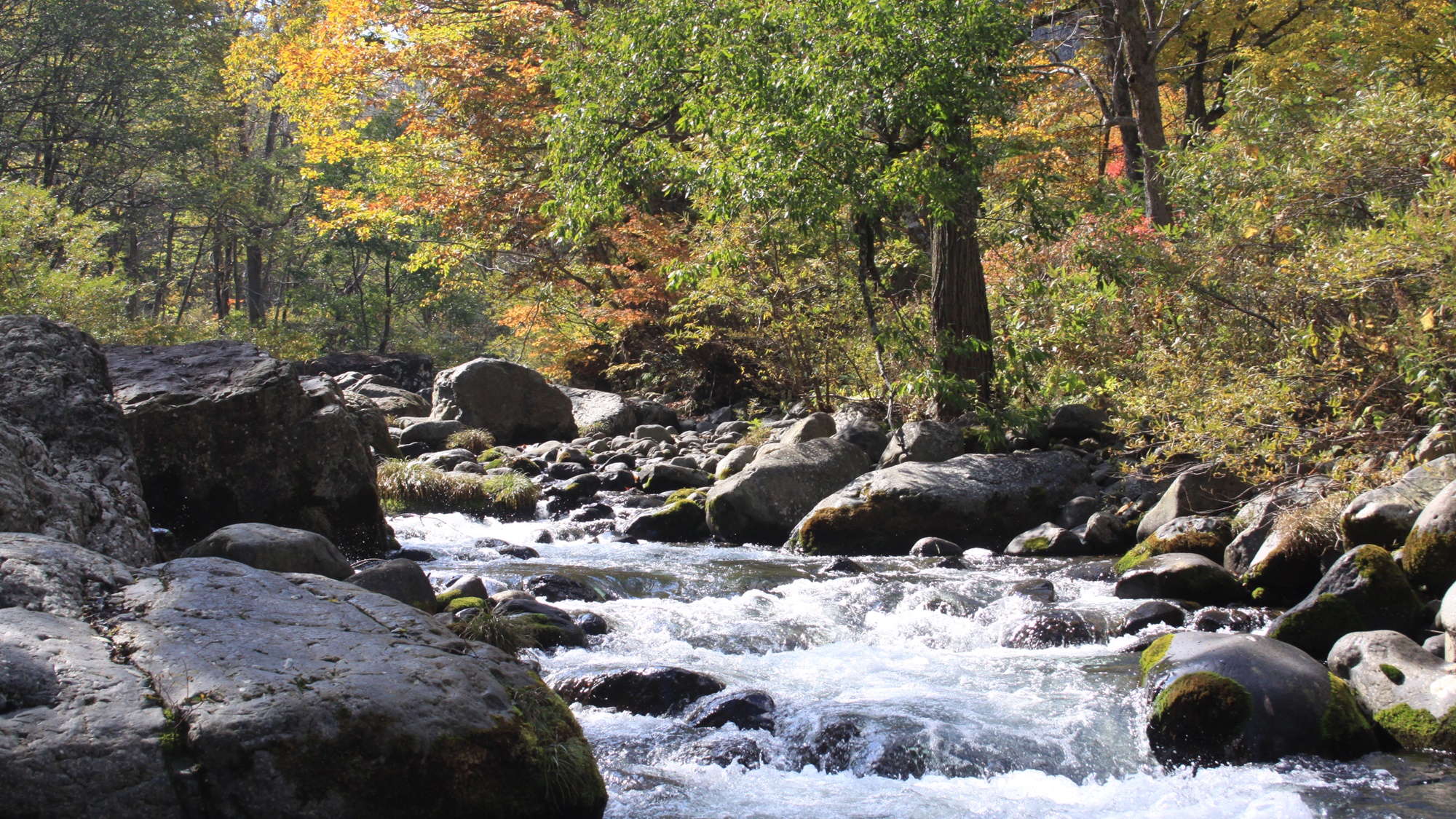 *【周辺(秋)】豊かな自然に包まれた志賀高原に佇むくつろぎ空間をお楽しみ下さい。