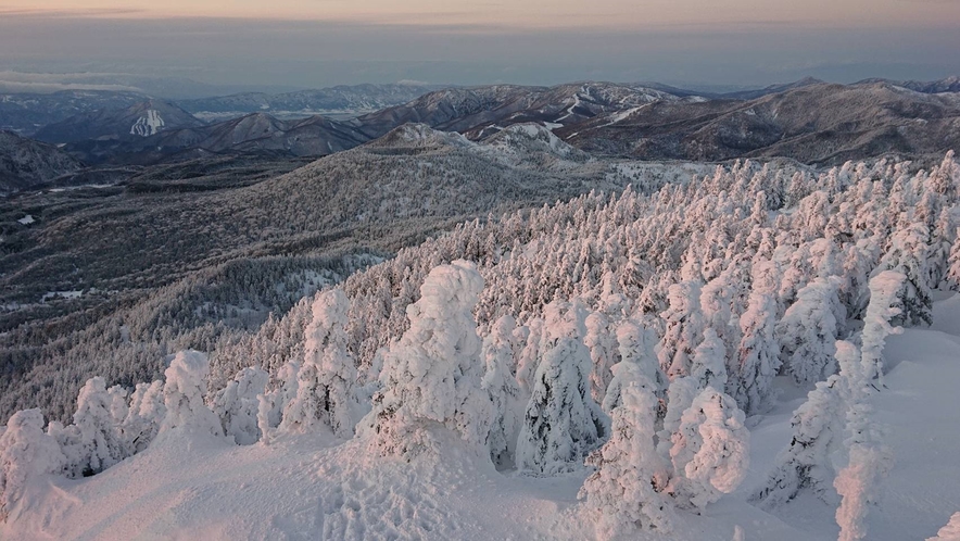 *横手山のスノーモンスター/志賀高原の冬の風物詩！日本有数の樹氷群がお客様をお待ちしております！