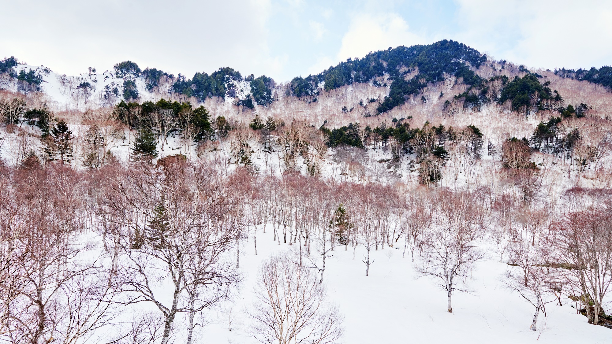*【ガーデンビューツイン2階3階（西側）】外は一面の雪景色。志賀高原の壮大な自然に心が揺さぶられます