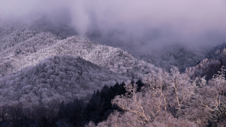 *【周辺】山が雪と霧氷で真っ白に覆われます。