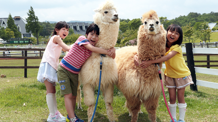 【牧歌の里入園引換券付】動物と自然に癒されよう♪ファミリー・カップル応援プラン＜２食付＞