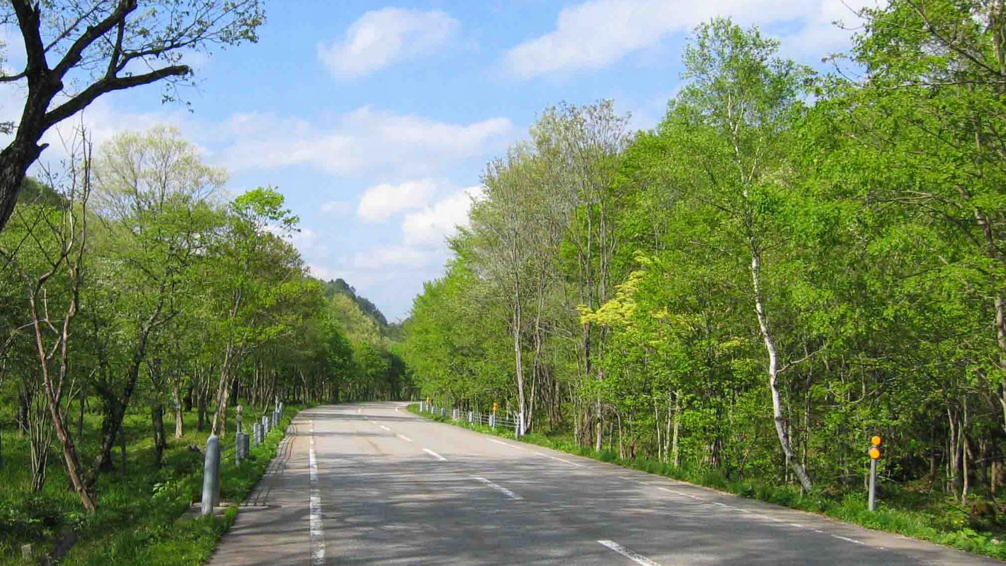 【初夏・新緑のせせらぎ街道】ホテルから車で約20分