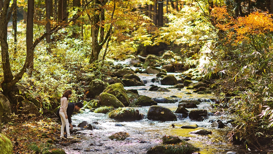 【秋の景色】敷地内を流れる小川
