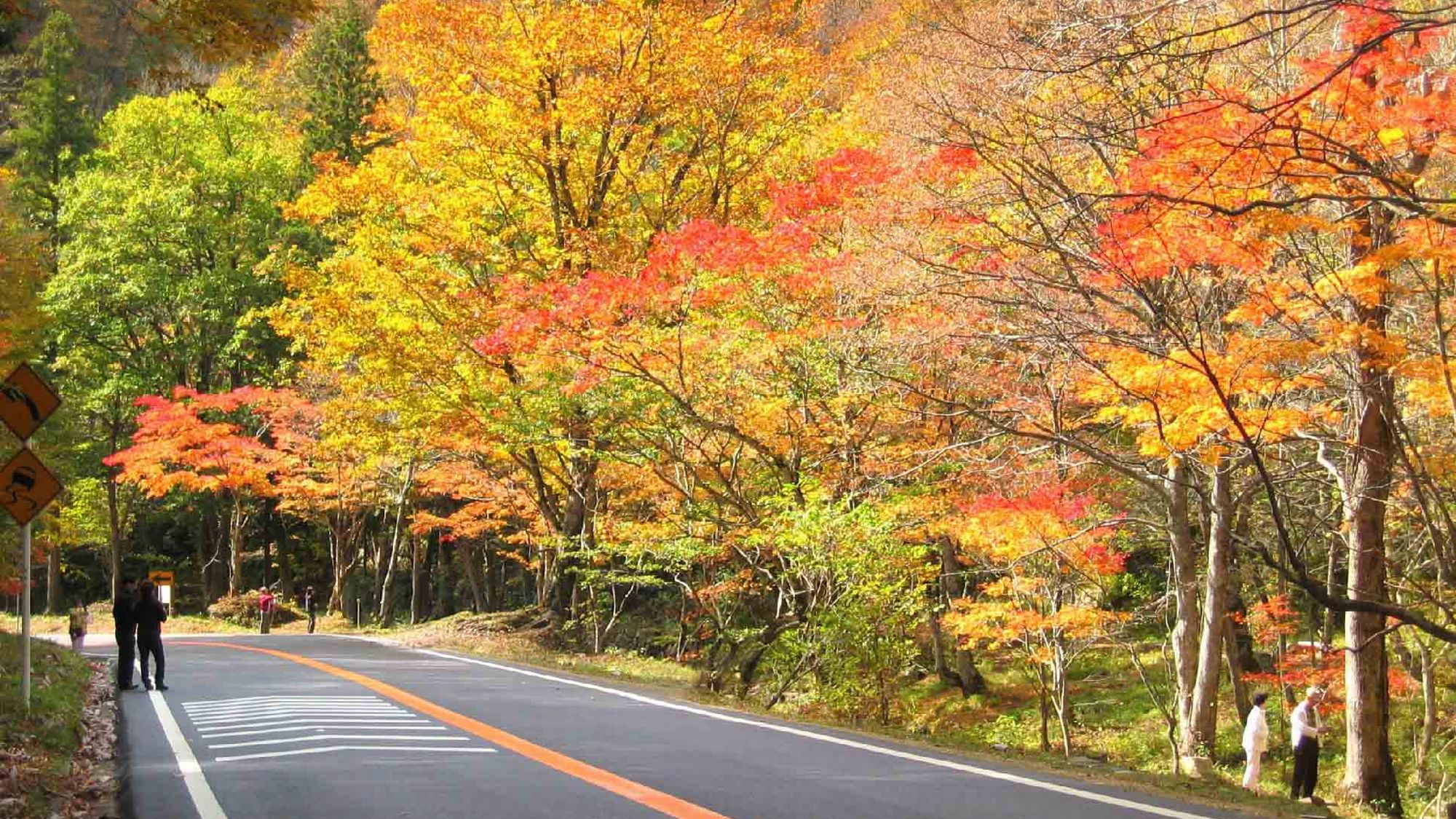 【秋・紅葉のせせらぎ街道】ホテルから車で約20分