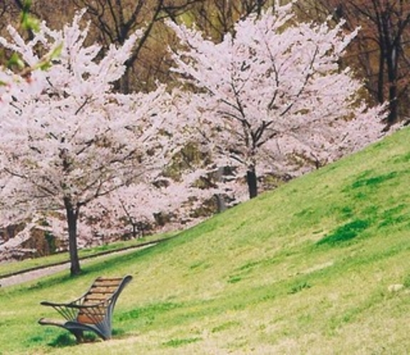 巨大な天狗像がある「キティパーク」の桜