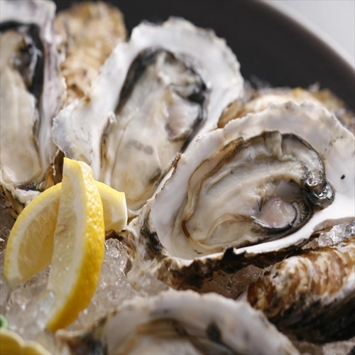 Uramura Oysters 500*500