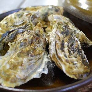 【期間限定】地元の逸品「浦村牡蠣」を味わう牡蠣会席！伊勢志摩の自然の恵みを感じる特別なひととき