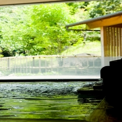 ■新緑の初夏の大浴場