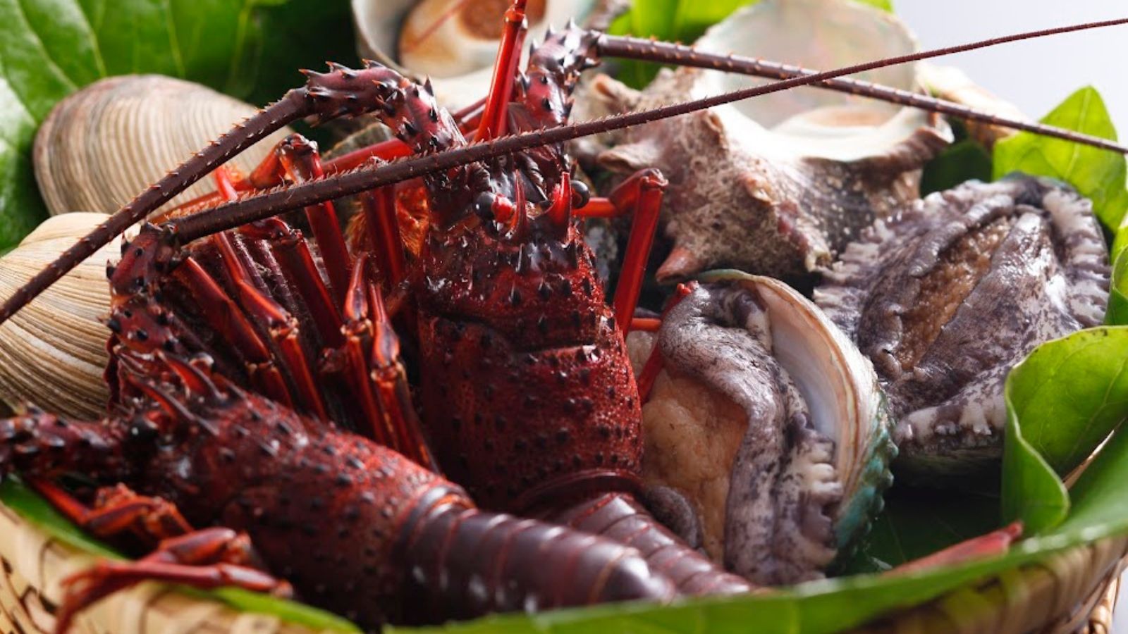 伊勢海老や鮑の素材　500*500