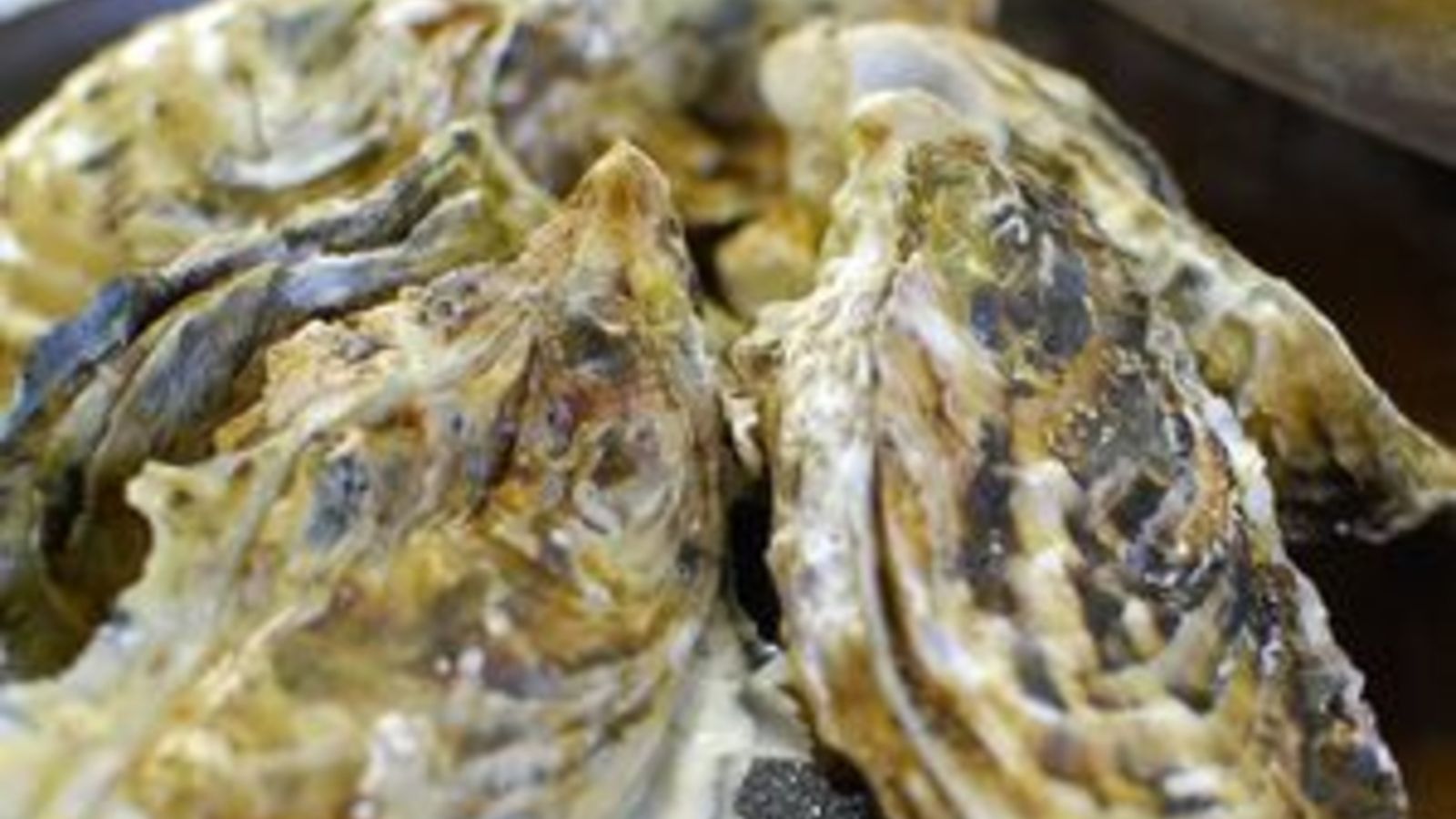 浦村牡蠣の焙烙