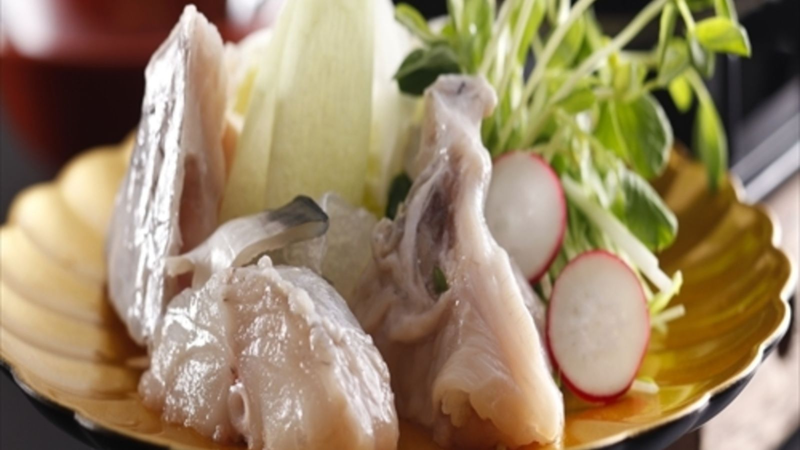 季節の料理写真一例　500*500