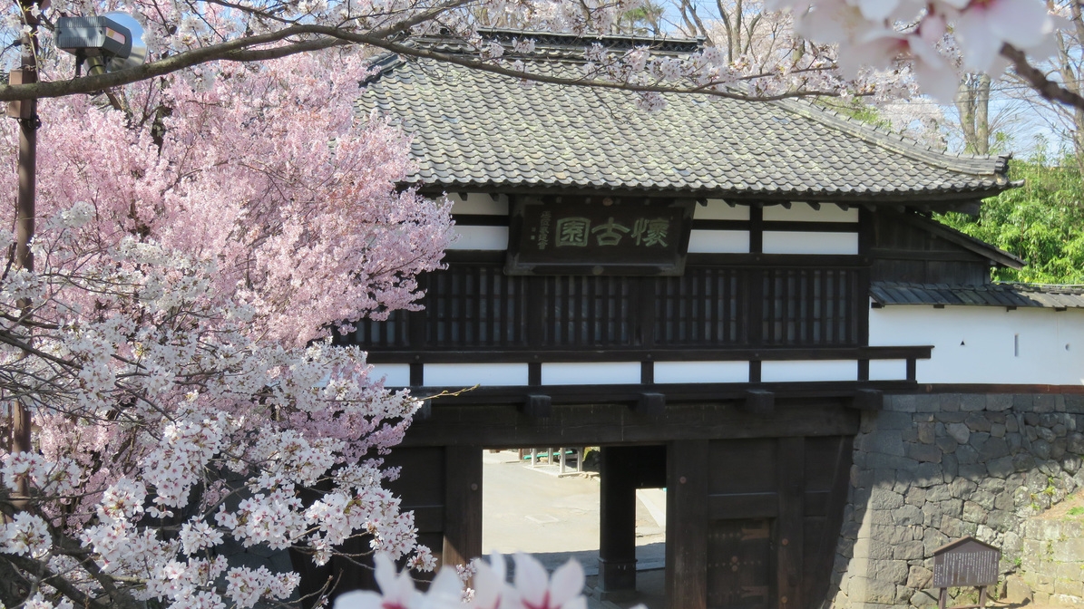 【シニア旅応援】春の小諸へ——桜と温泉でゆったり寛ぐ2食付きバイキングプラン