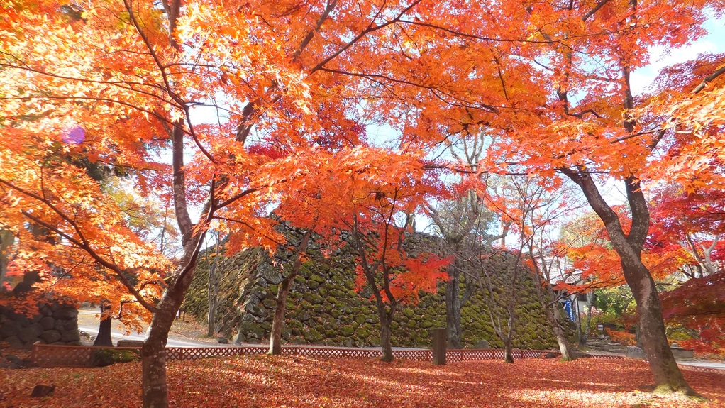観光情報【小諸城址懐古園の紅葉まつり】秋の訪れを感じよう！2食付きバイキングプラン