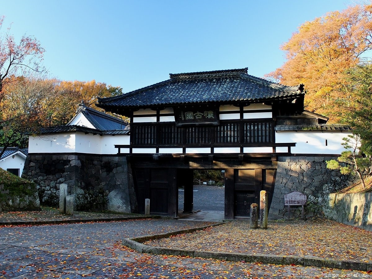 観光情報【小諸城址懐古園の紅葉まつり】秋の訪れを感じよう！2食付きバイキングプラン