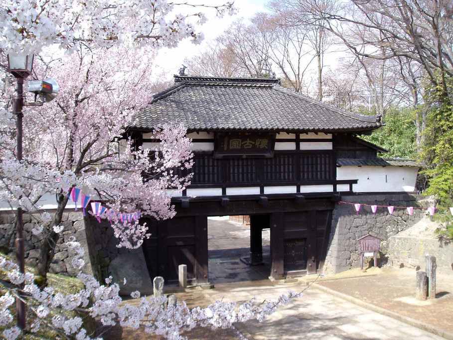 観光情報【小諸城址懐古園の桜まつり】春の訪れを感じよう！2食付きバイキングプラン