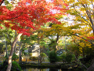 懐古園　紅葉