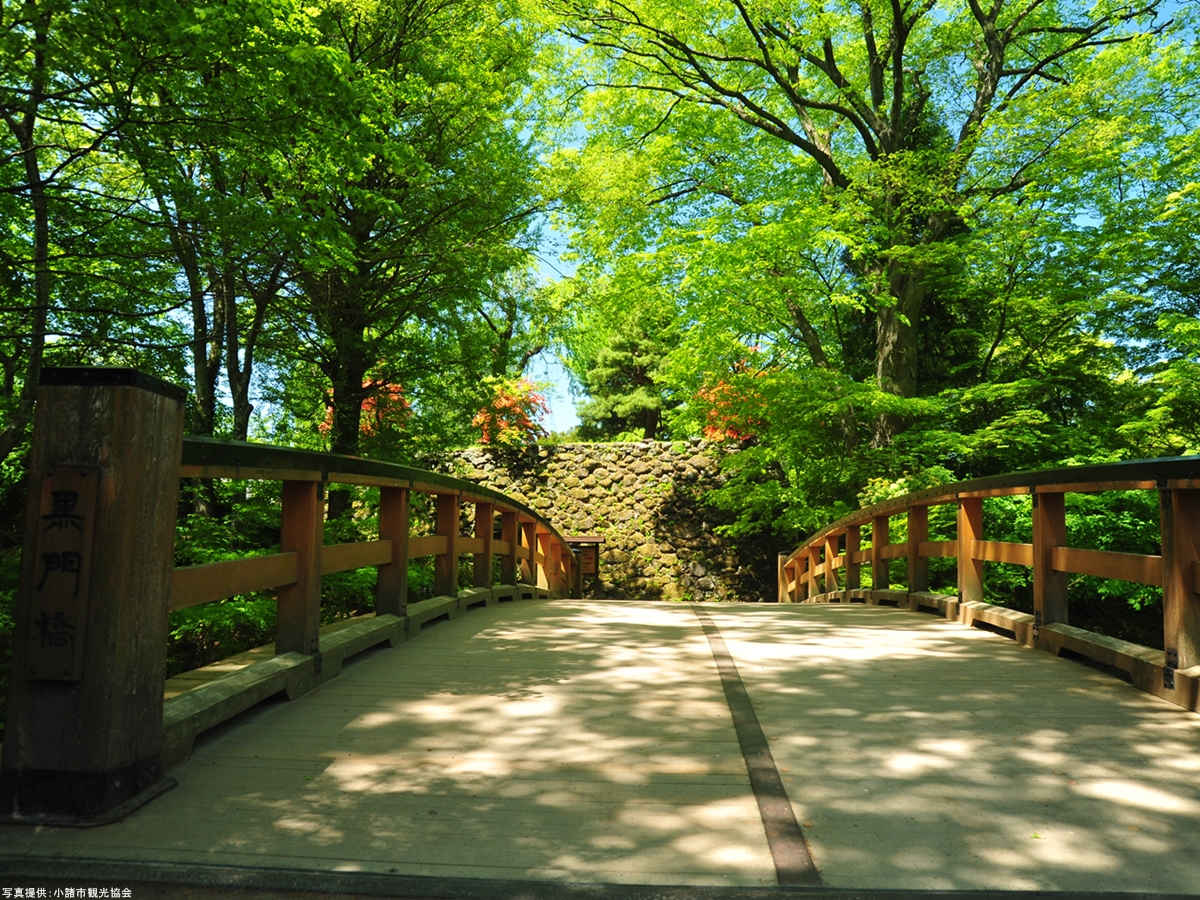 新緑の懐古園